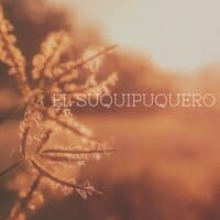 El Suquipuquero