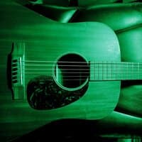 Acoustic Twone Fourfold (green)