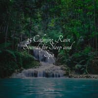 25 Calming Rain Sounds for Sleep and Spa