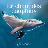 Le chant des dauphins pour dormir: Sons naturels calmes pour la détente