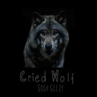 Cried Wolf