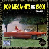 Pop Mega-hits Of The 1960's - Volume 11