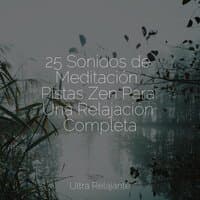 25 Sonidos de Meditación: Pistas Zen Para Una Relajación Completa