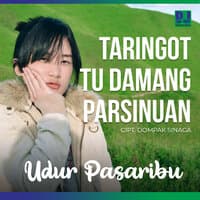 Taringot tu Damang Parsinuan