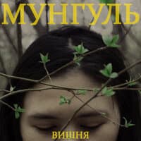 Вишня