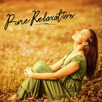 Pure Relaxation – Collection of Ambient New Age Melodies for Rest After Stressful Day, Nature, Hz Tones, Reiki, Calm