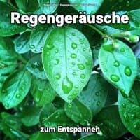 Regengeräusche zum Entspannen Teil 12