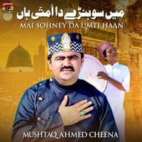 Mai Sohney Da Umti Haan - Single