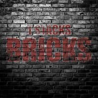 Bricks