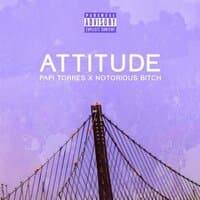 Attitude