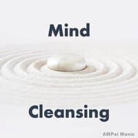 Mind Cleansing