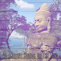 40 Ambient Sounds Of The Mind