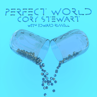 Perfect World