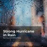 Strong Hurricane in Rain