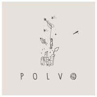 Polvo