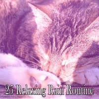 25 Relaxing Rain Routine