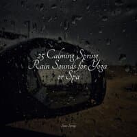 25 Calming Spring Rain Sounds for Yoga or Spa