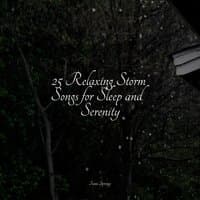 25 Relaxing Storm Songs for Sleep and Serenity