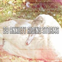 28 Anxiety Aiding Storms