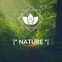 |* Nature *|