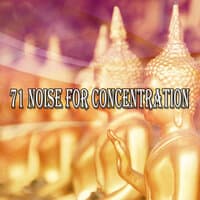 71 Noise for Concentration