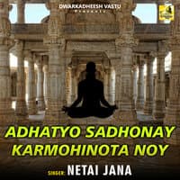 Adhatyo Sadhonay Karmohinota Noy