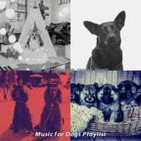 Music for Calming Dogs