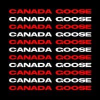 Canada Goose