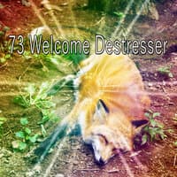 73 Welcome Destresser