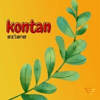 Kontan