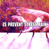 25 Prevent Stress Rain