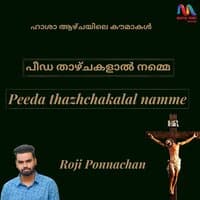 Peeda Thazhchakalal Namme - Single