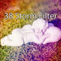 38 Storm Filter