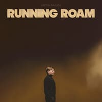 Running Roam