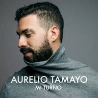 Mi Turno