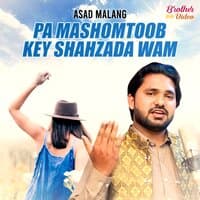 Pa Mashomtoob Key Shahzada Wam - Single