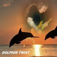 Dolphin Twist Trio