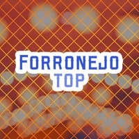 Forronejo Top