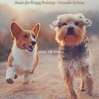 Music for Doggy Training - Acoustic Guitars