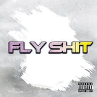 Fly Shit