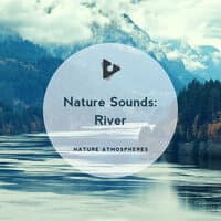 Nature Sounds: River