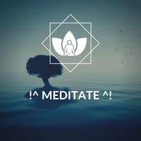 !^ Meditate ^!