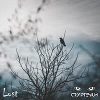 Lost