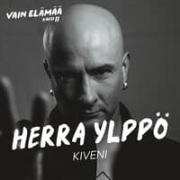 Kiveni (Vain elämää kausi 11)