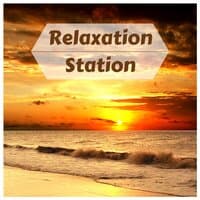 Relaxation Station - Ocean Waves in a Tropical Island