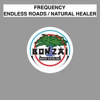 Endless Roads / Natural Healer