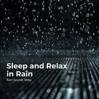 Sleep and Relax in Rain