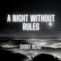 A Night Without Rules