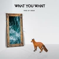 What You Want