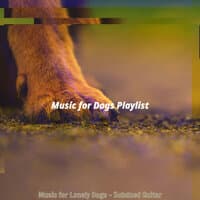 Music for Lonely Dogs - Subdued Guitar